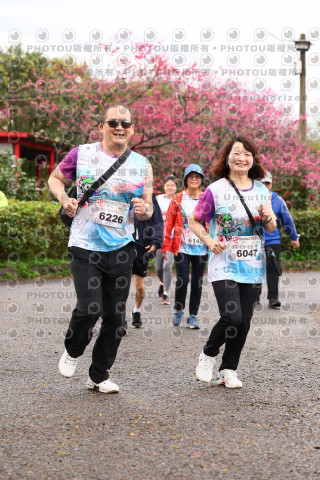 2026左岸竹東櫻花馬拉松Zhudong Sakura Marathon
