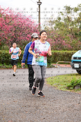 2026左岸竹東櫻花馬拉松Zhudong Sakura Marathon