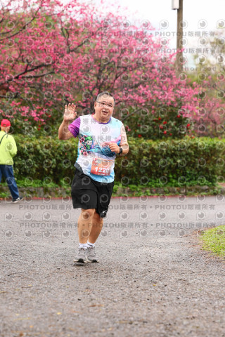 2026左岸竹東櫻花馬拉松Zhudong Sakura Marathon