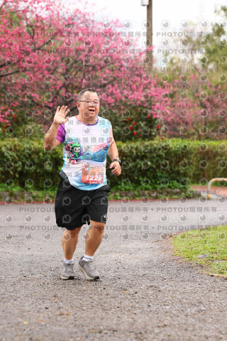 2026左岸竹東櫻花馬拉松Zhudong Sakura Marathon