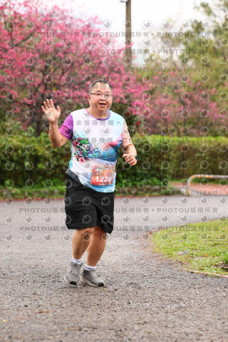 2026左岸竹東櫻花馬拉松Zhudong Sakura Marathon