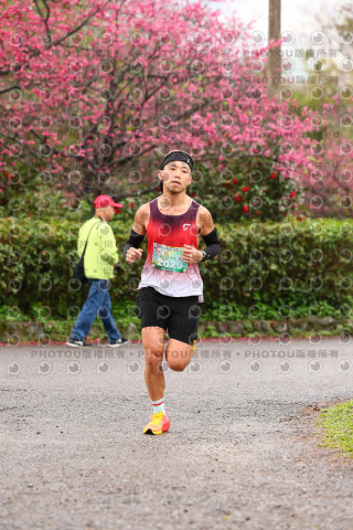 2026左岸竹東櫻花馬拉松Zhudong Sakura Marathon