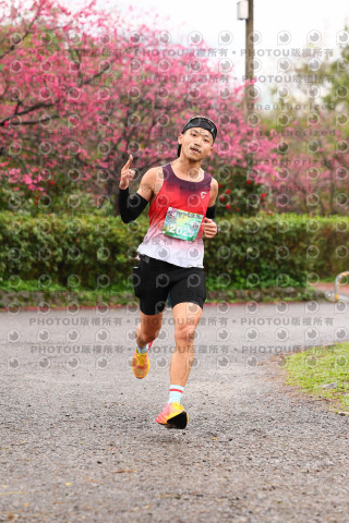 2026左岸竹東櫻花馬拉松Zhudong Sakura Marathon