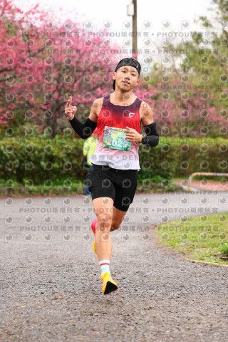 2026左岸竹東櫻花馬拉松Zhudong Sakura Marathon