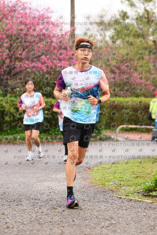 2026左岸竹東櫻花馬拉松Zhudong Sakura Marathon