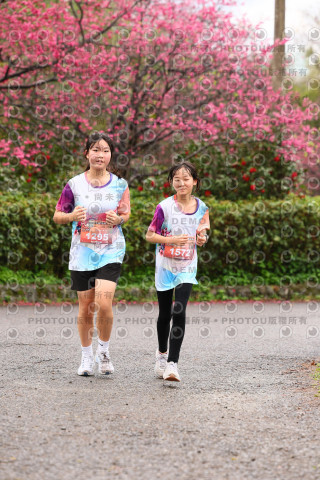 2026左岸竹東櫻花馬拉松Zhudong Sakura Marathon