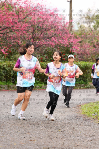 2026左岸竹東櫻花馬拉松Zhudong Sakura Marathon