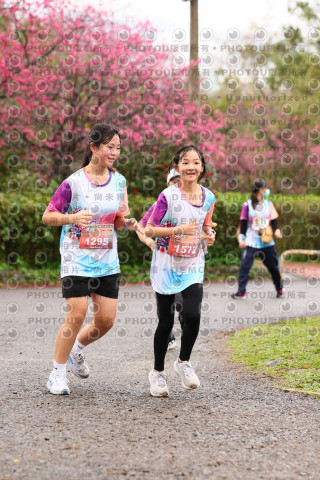 2026左岸竹東櫻花馬拉松Zhudong Sakura Marathon