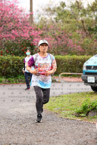 2026左岸竹東櫻花馬拉松Zhudong Sakura Marathon
