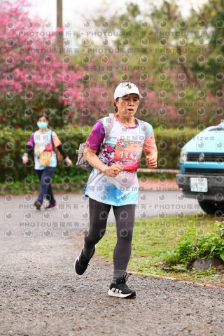 2026左岸竹東櫻花馬拉松Zhudong Sakura Marathon