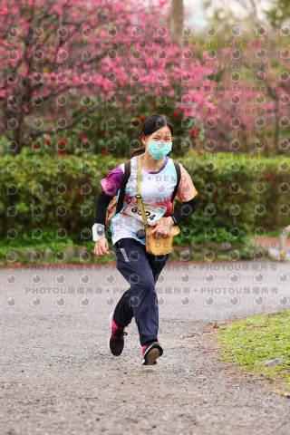 2026左岸竹東櫻花馬拉松Zhudong Sakura Marathon