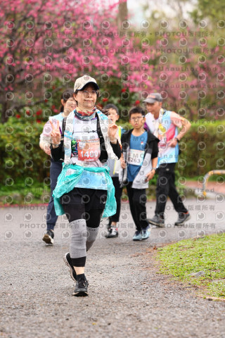 2026左岸竹東櫻花馬拉松Zhudong Sakura Marathon