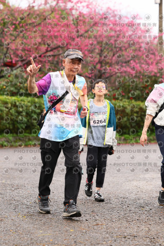 2026左岸竹東櫻花馬拉松Zhudong Sakura Marathon