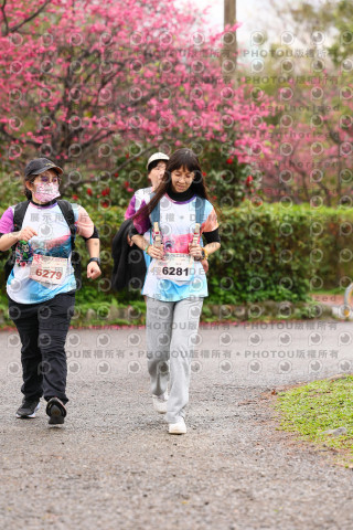 2026左岸竹東櫻花馬拉松Zhudong Sakura Marathon