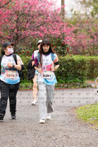 2026左岸竹東櫻花馬拉松Zhudong Sakura Marathon