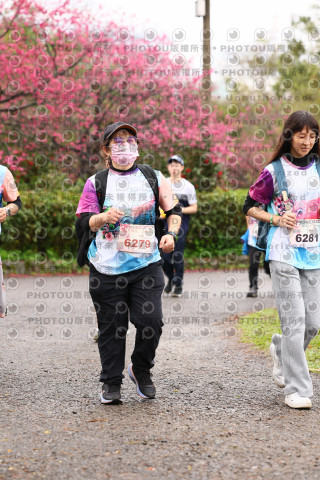 2026左岸竹東櫻花馬拉松Zhudong Sakura Marathon