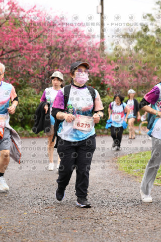 2026左岸竹東櫻花馬拉松Zhudong Sakura Marathon