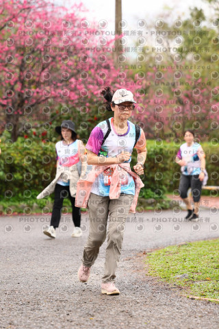 2026左岸竹東櫻花馬拉松Zhudong Sakura Marathon
