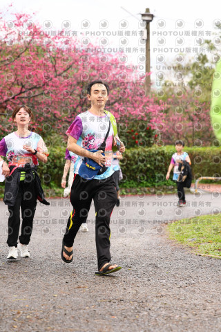 2026左岸竹東櫻花馬拉松Zhudong Sakura Marathon