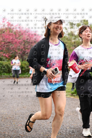 2026左岸竹東櫻花馬拉松Zhudong Sakura Marathon