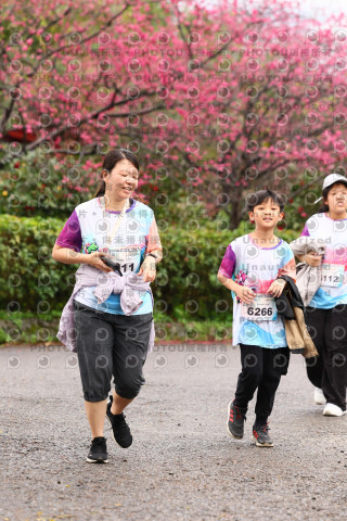 2026左岸竹東櫻花馬拉松Zhudong Sakura Marathon