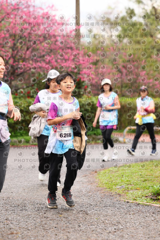 2026左岸竹東櫻花馬拉松Zhudong Sakura Marathon