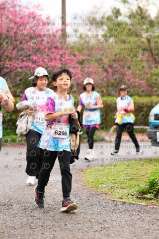 2026左岸竹東櫻花馬拉松Zhudong Sakura Marathon