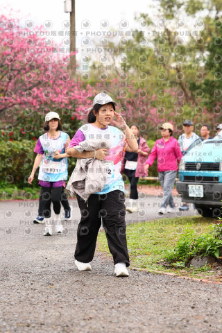 2026左岸竹東櫻花馬拉松Zhudong Sakura Marathon