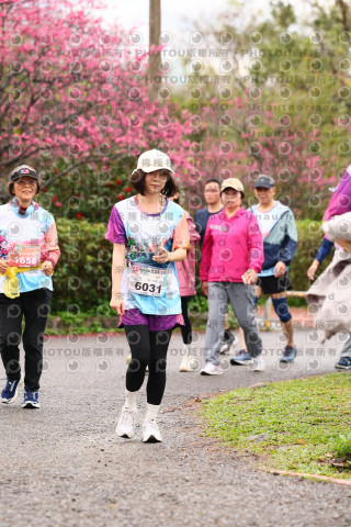 2026左岸竹東櫻花馬拉松Zhudong Sakura Marathon