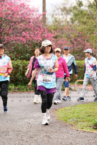 2026左岸竹東櫻花馬拉松Zhudong Sakura Marathon
