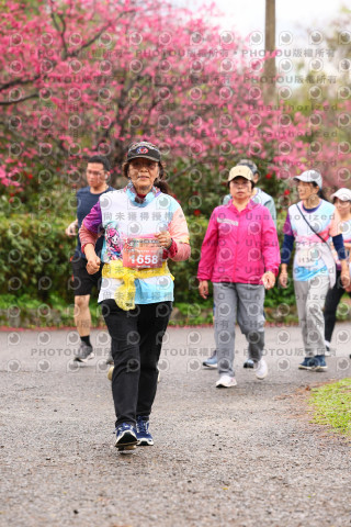2026左岸竹東櫻花馬拉松Zhudong Sakura Marathon