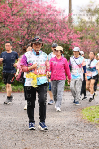 2026左岸竹東櫻花馬拉松Zhudong Sakura Marathon