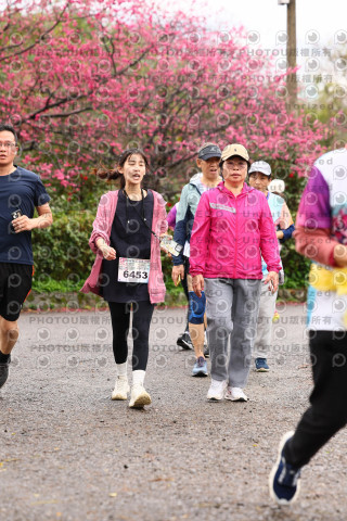 2026左岸竹東櫻花馬拉松Zhudong Sakura Marathon