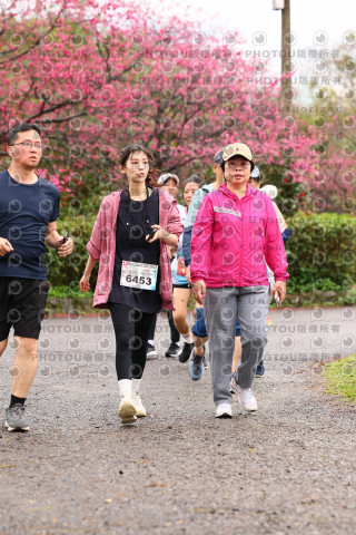 2026左岸竹東櫻花馬拉松Zhudong Sakura Marathon