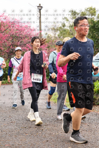 2026左岸竹東櫻花馬拉松Zhudong Sakura Marathon