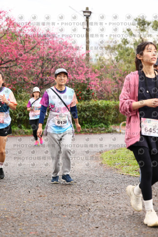 2026左岸竹東櫻花馬拉松Zhudong Sakura Marathon