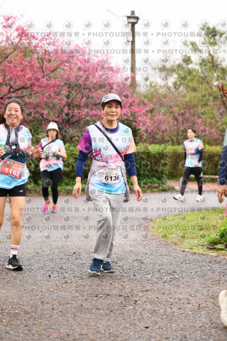 2026左岸竹東櫻花馬拉松Zhudong Sakura Marathon