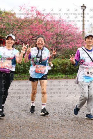 2026左岸竹東櫻花馬拉松Zhudong Sakura Marathon