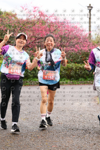 2026左岸竹東櫻花馬拉松Zhudong Sakura Marathon