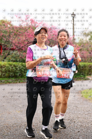 2026左岸竹東櫻花馬拉松Zhudong Sakura Marathon