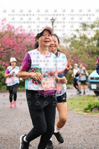 2026左岸竹東櫻花馬拉松Zhudong Sakura Marathon