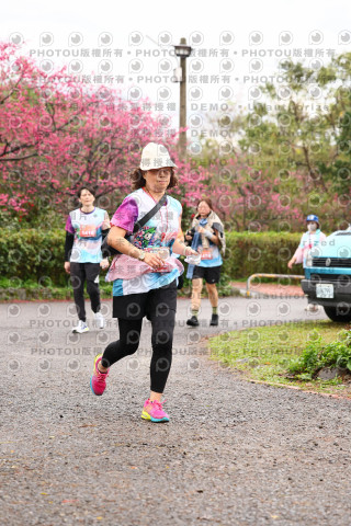 2026左岸竹東櫻花馬拉松Zhudong Sakura Marathon