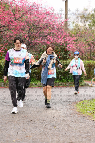 2026左岸竹東櫻花馬拉松Zhudong Sakura Marathon