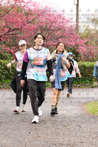2026左岸竹東櫻花馬拉松Zhudong Sakura Marathon