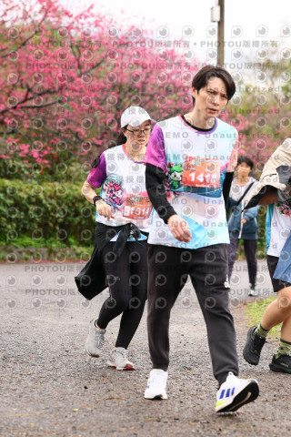 2026左岸竹東櫻花馬拉松Zhudong Sakura Marathon