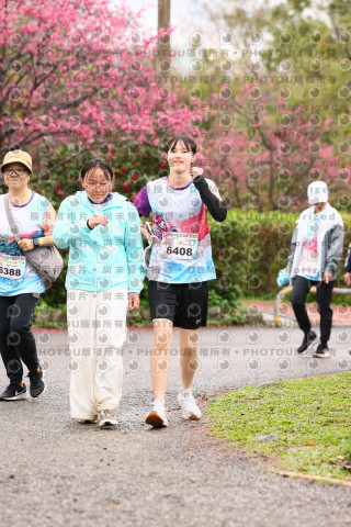 2026左岸竹東櫻花馬拉松Zhudong Sakura Marathon
