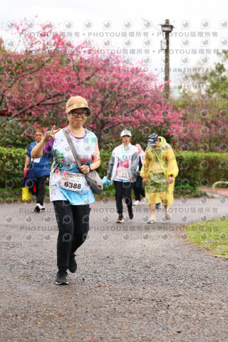 2026左岸竹東櫻花馬拉松Zhudong Sakura Marathon