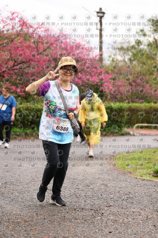 2026左岸竹東櫻花馬拉松Zhudong Sakura Marathon