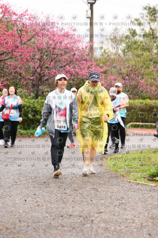 2026左岸竹東櫻花馬拉松Zhudong Sakura Marathon