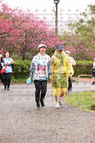 2026左岸竹東櫻花馬拉松Zhudong Sakura Marathon